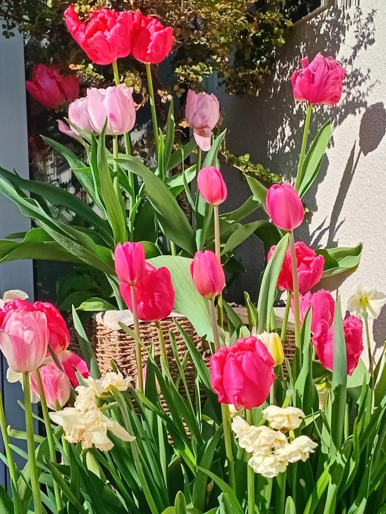 Queenstown Retreat מראה חיצוני תמונה
